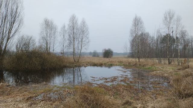 Działka rolna Dobieszyn, ul. Leśna. Zdjęcie 1