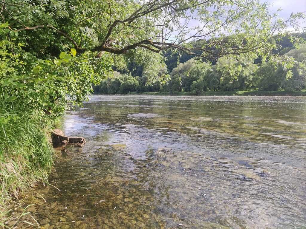 Działka Sanok Olchowce. Zdjęcie 5