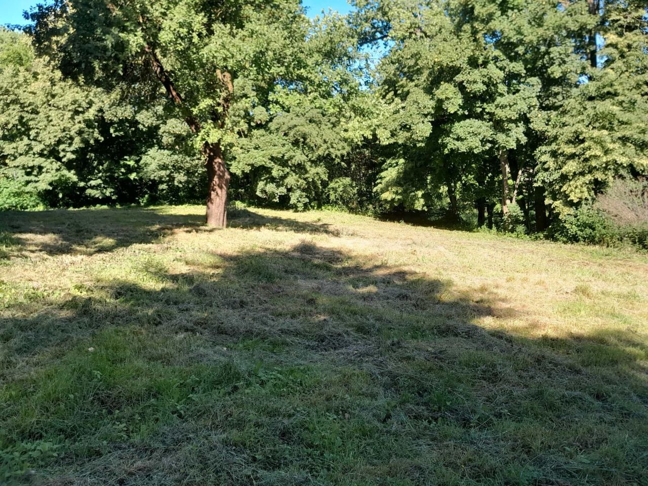 Działka siedliskowa Uniszowice. Zdjęcie 5