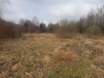 Działka Kozłowiec. Zdjęcie 4