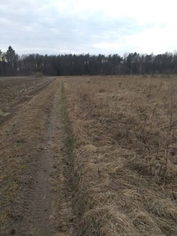 Działka rolno-budowlana Witoroż. Zdjęcie 1