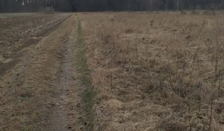 Działka rolno-budowlana Witoroż