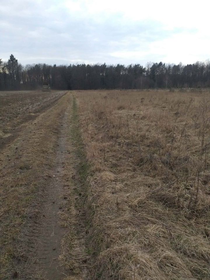 Działka budowlana Witoroż. Zdjęcie 1