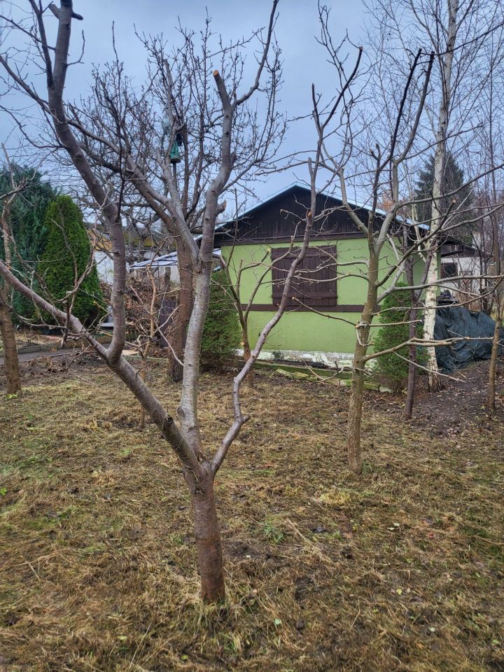 Działka rod Gdynia Mały Kack. Zdjęcie 6