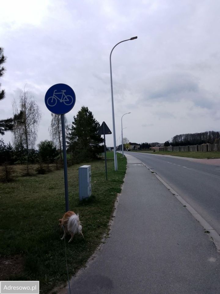 Działka budowlana Bielino, ul. Nadrzeczna. Zdjęcie 17