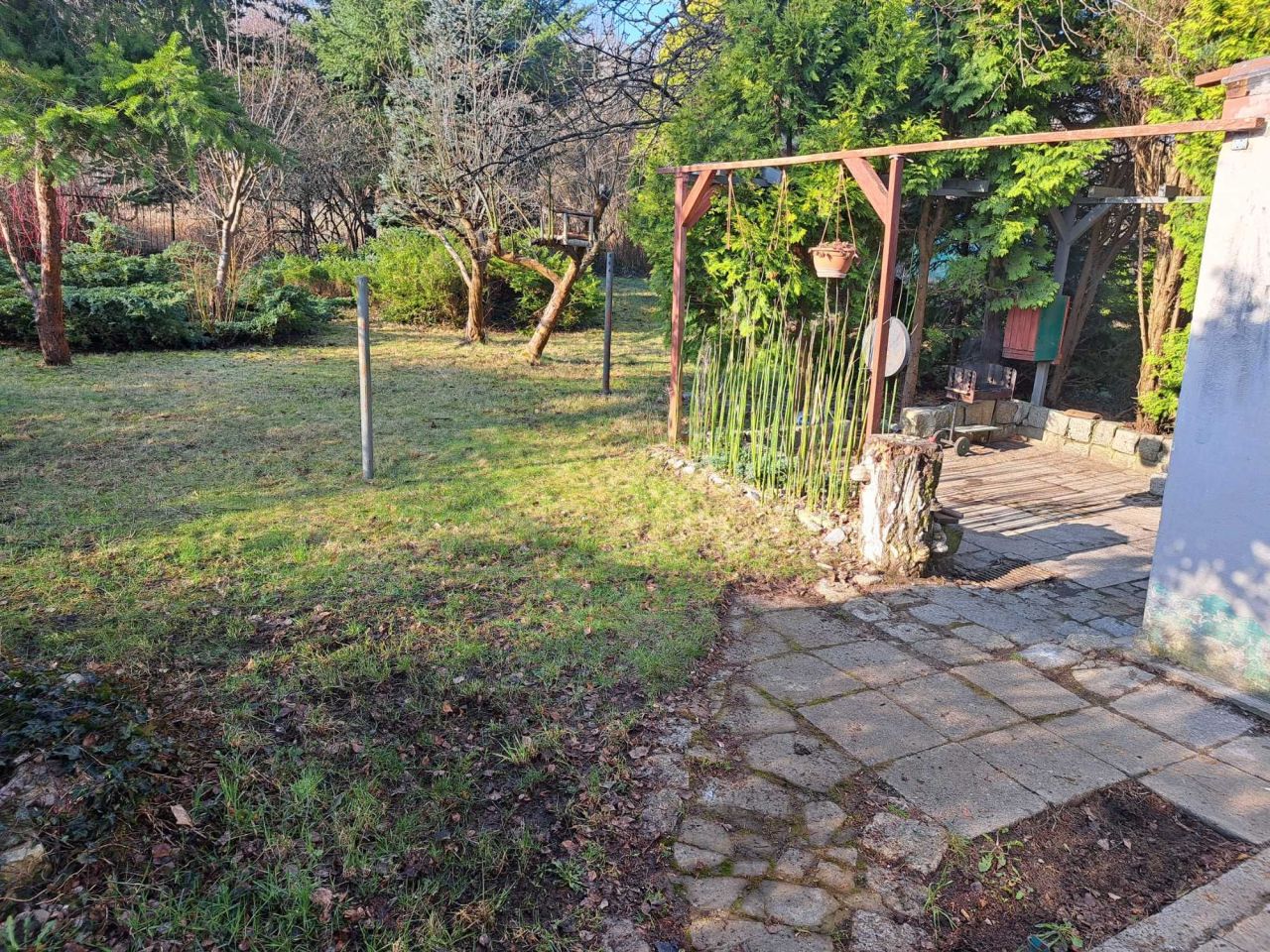 Działka rod Lubsko. Zdjęcie 6