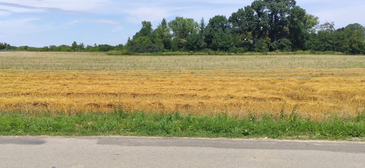 Działka rolno-budowlana Borowina Sitaniecka. Zdjęcie 6