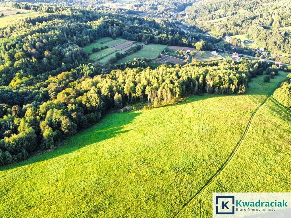 Działka rolna Lutcza. Zdjęcie 4