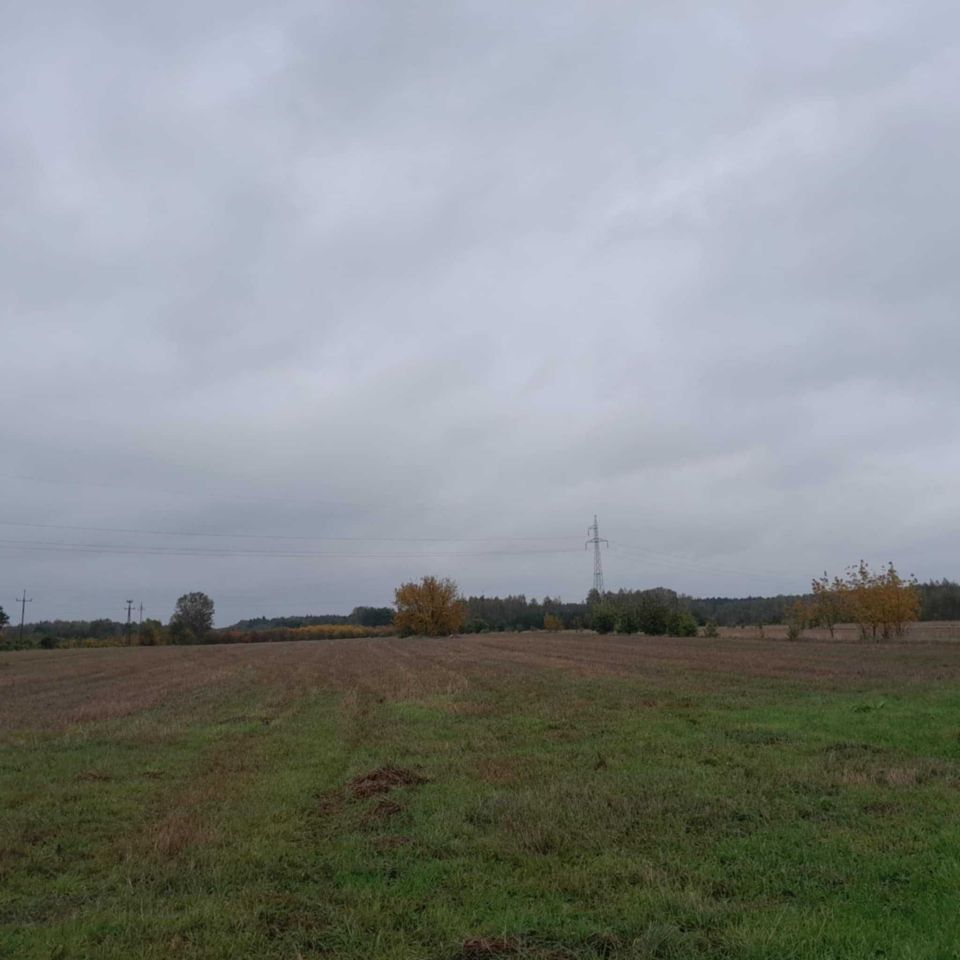 Działka rolno-budowlana Zaręby, ul. Zięby. Zdjęcie 2