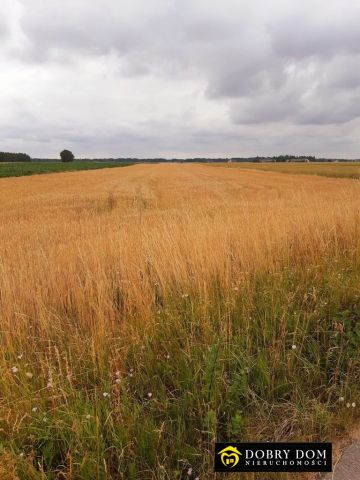 Działka budowlana Jadwisin. Zdjęcie 6