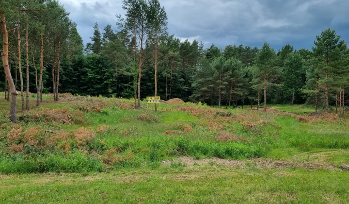 Działka budowlana Golczewo, ul. Spacerowa