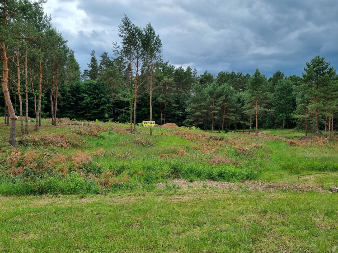 Działka budowlana Golczewo, ul. Spacerowa. Zdjęcie 1
