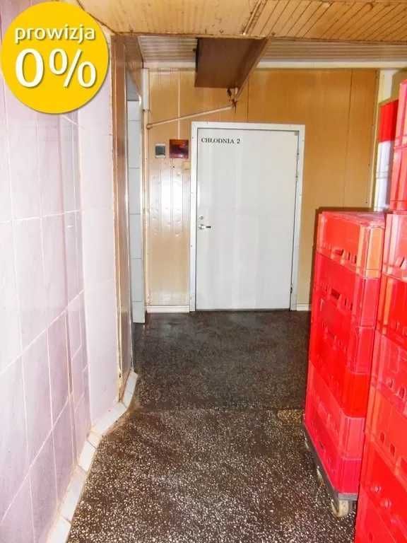 Hala/magazyn Mały Płock. Zdjęcie 8