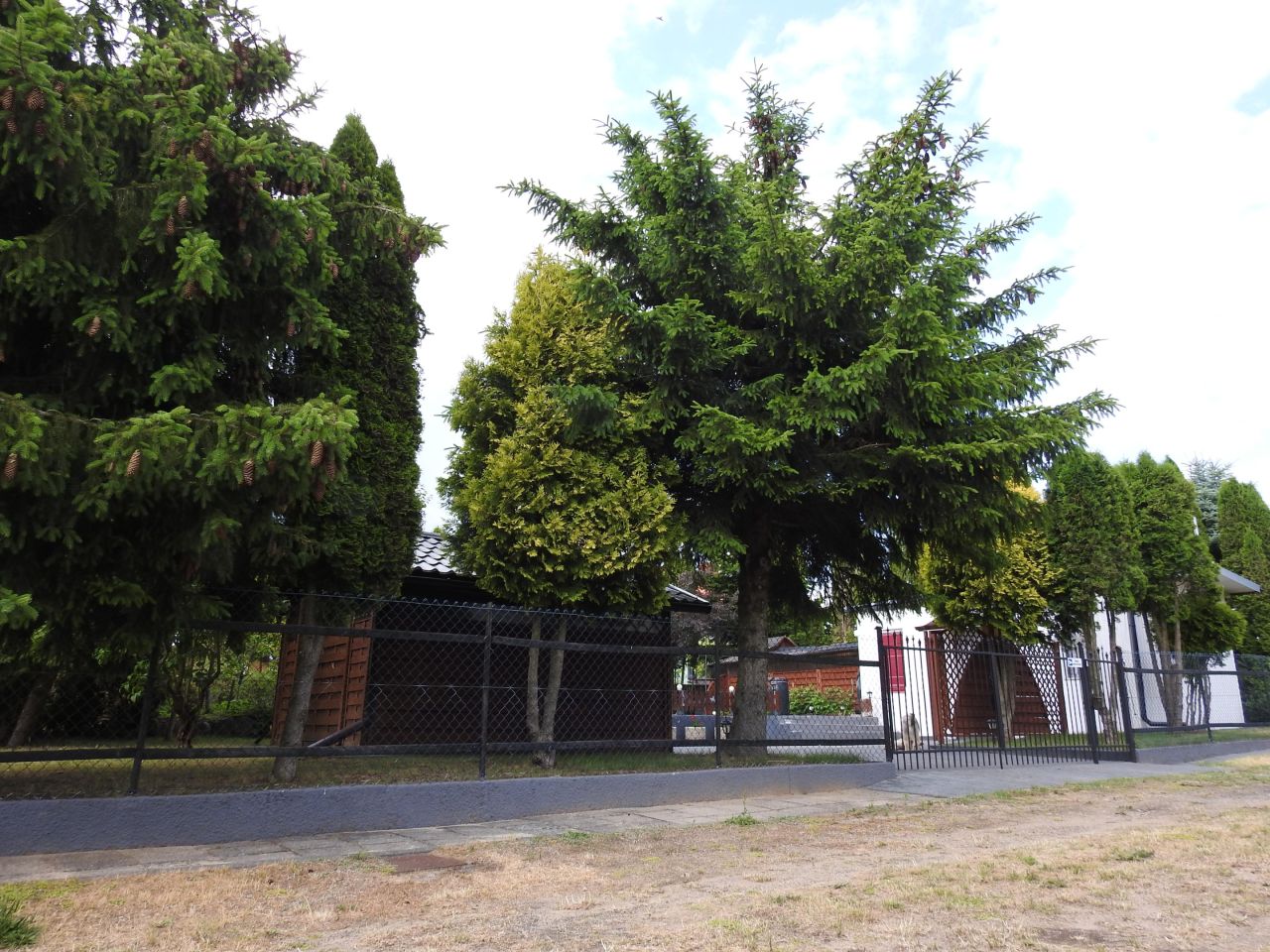 Działka rekreacyjna Przechlewo, ul. Wczasowa. Zdjęcie 4