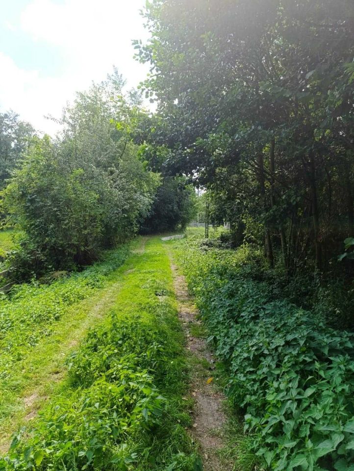 Działka rolno-budowlana Siedlików. Zdjęcie 7