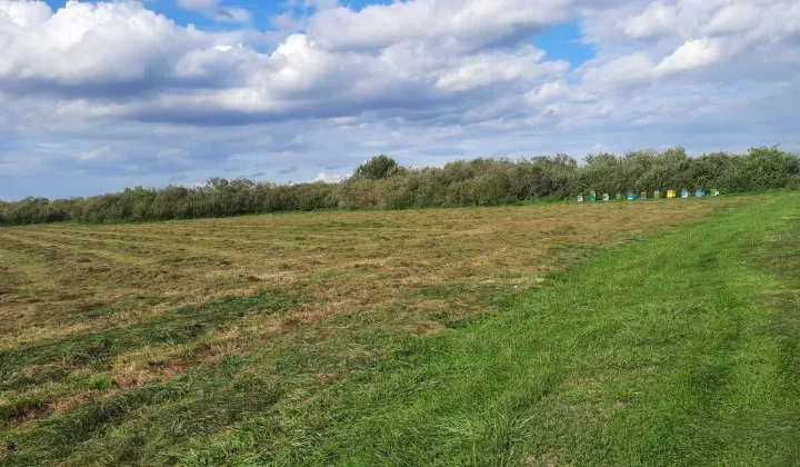 Działka rolna Heliodorowo