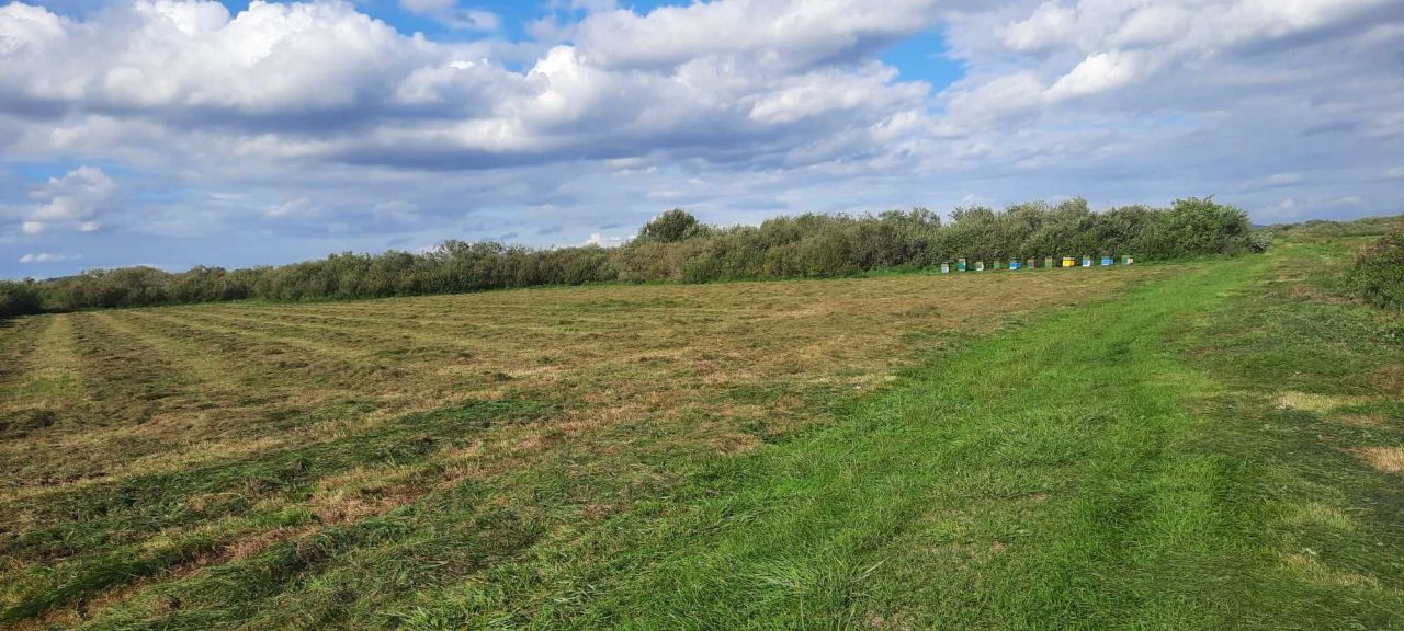 Działka rolna Heliodorowo