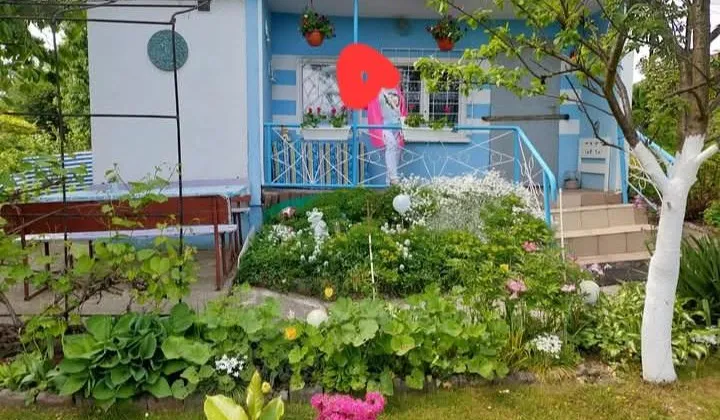 Działka rekreacyjna Jastrzębie-Zdrój Zofiówka, ul. Wojciecha Korfantego