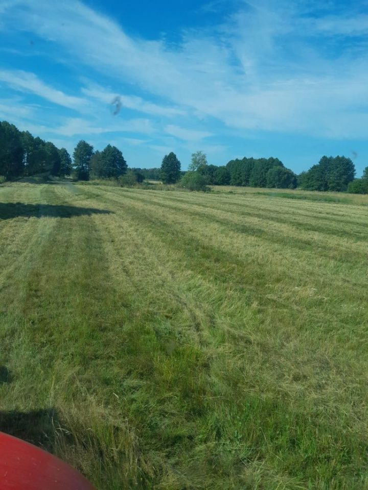Działka rolna Brzeźno. Zdjęcie 5