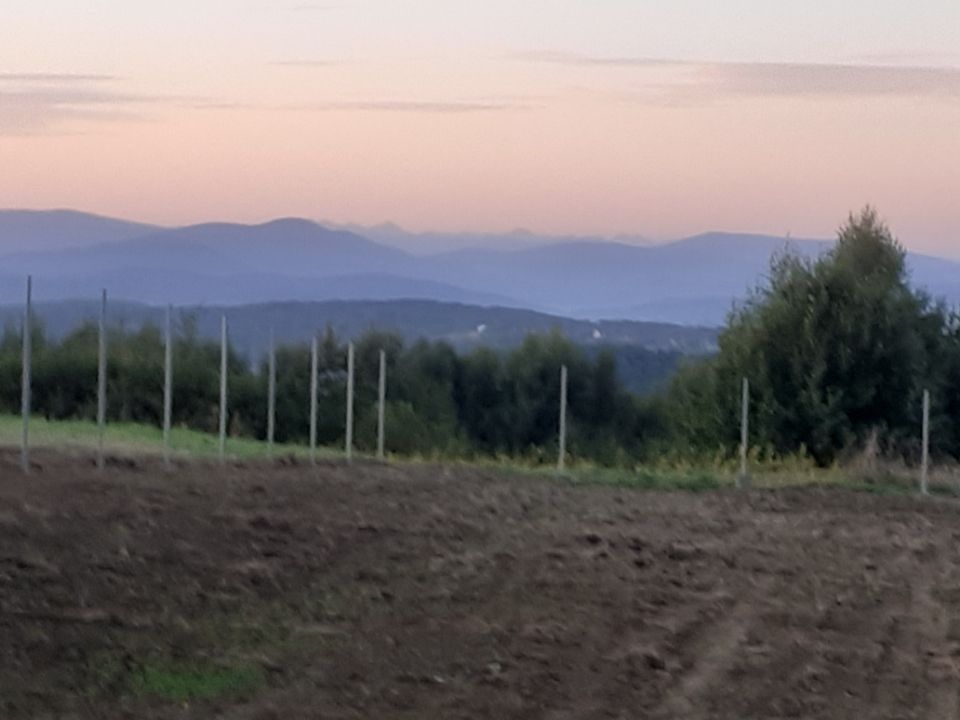 Działka budowlana Sułów. Zdjęcie 10