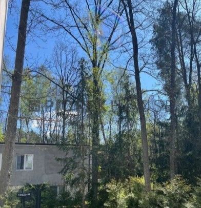 Mieszkanie 3-pokojowe Warszawa Wesoła, ul. Armii Krajowej. Zdjęcie 13