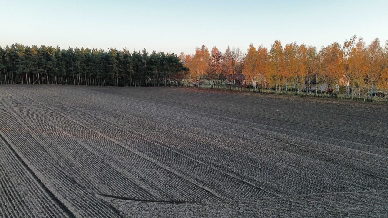 Działka budowlana Adamów. Zdjęcie 5