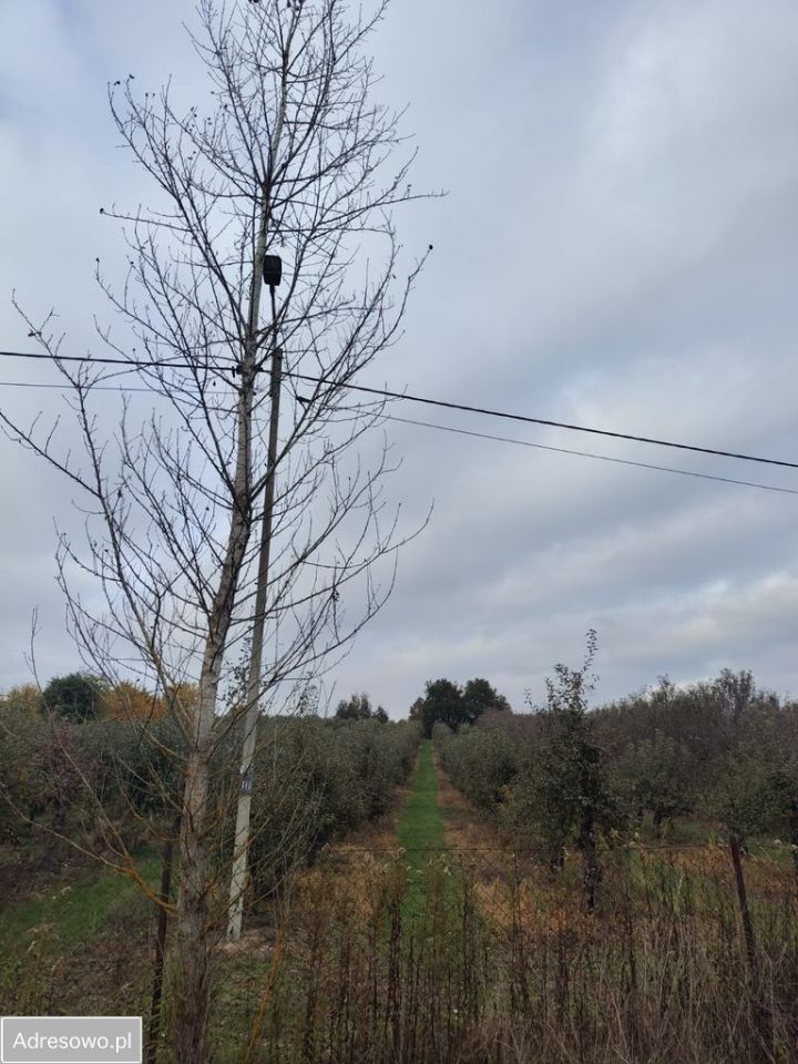 Działka rolno-budowlana Kazimierz Dolny Jeziorszczyzna. Zdjęcie 3