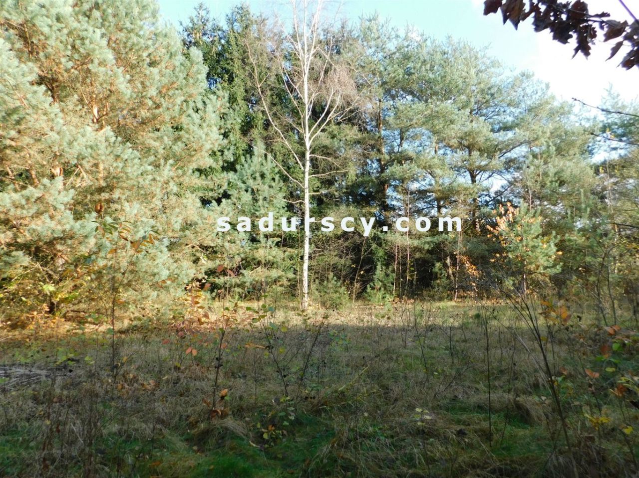 Działka budowlana Biały Ług. Zdjęcie 6