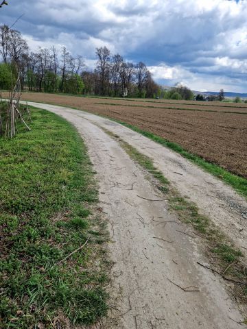 Działka budowlana Pilzno, ul. Grottgera. Zdjęcie 14