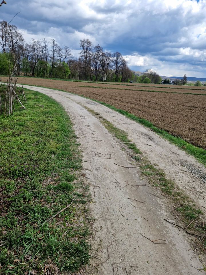 Działka budowlana Pilzno, ul. Grottgera. Zdjęcie 14