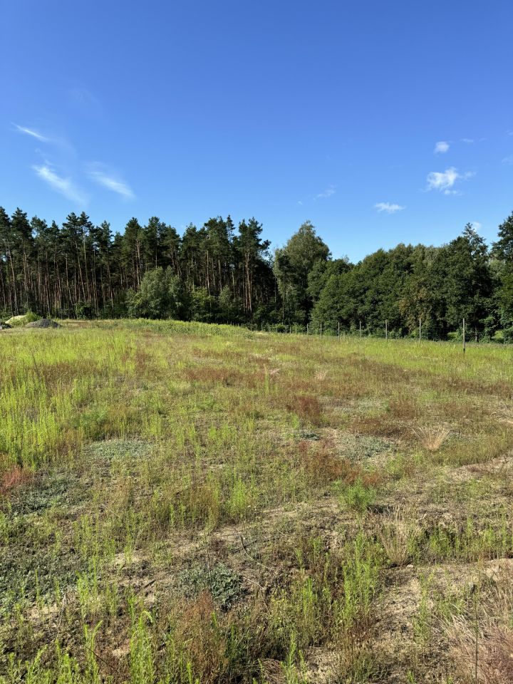 Działka rolno-budowlana Sulnówko, Sulnowko 18. Zdjęcie 10