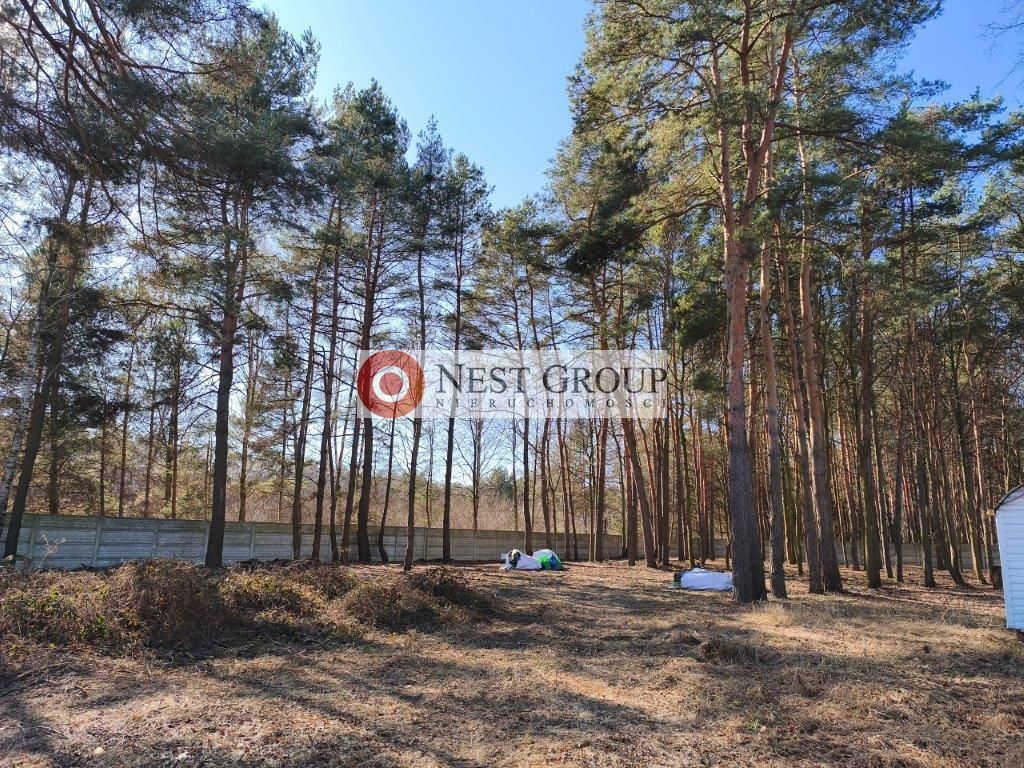 Działka budowlana Nowy Janków, ul. Wołomińska. Zdjęcie 4