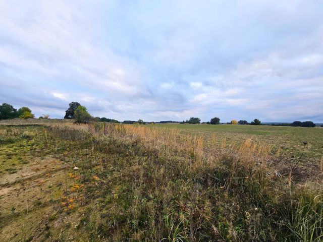 Działka budowlana Siekierowice. Zdjęcie 15