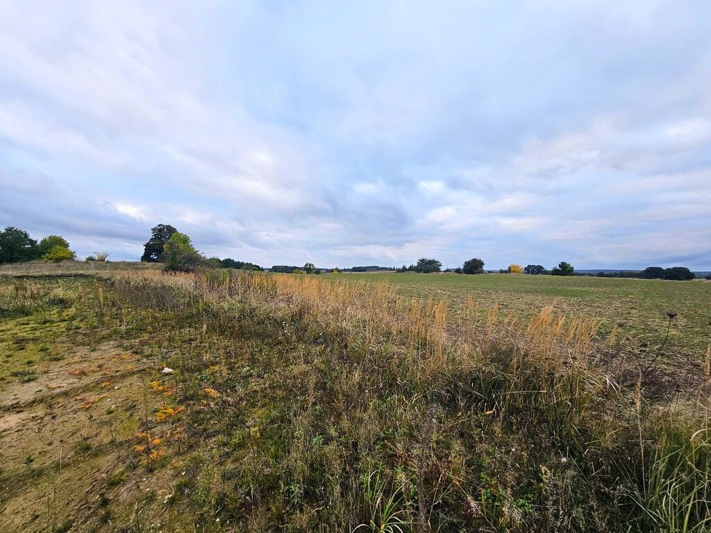 Działka budowlana Siekierowice. Zdjęcie 15