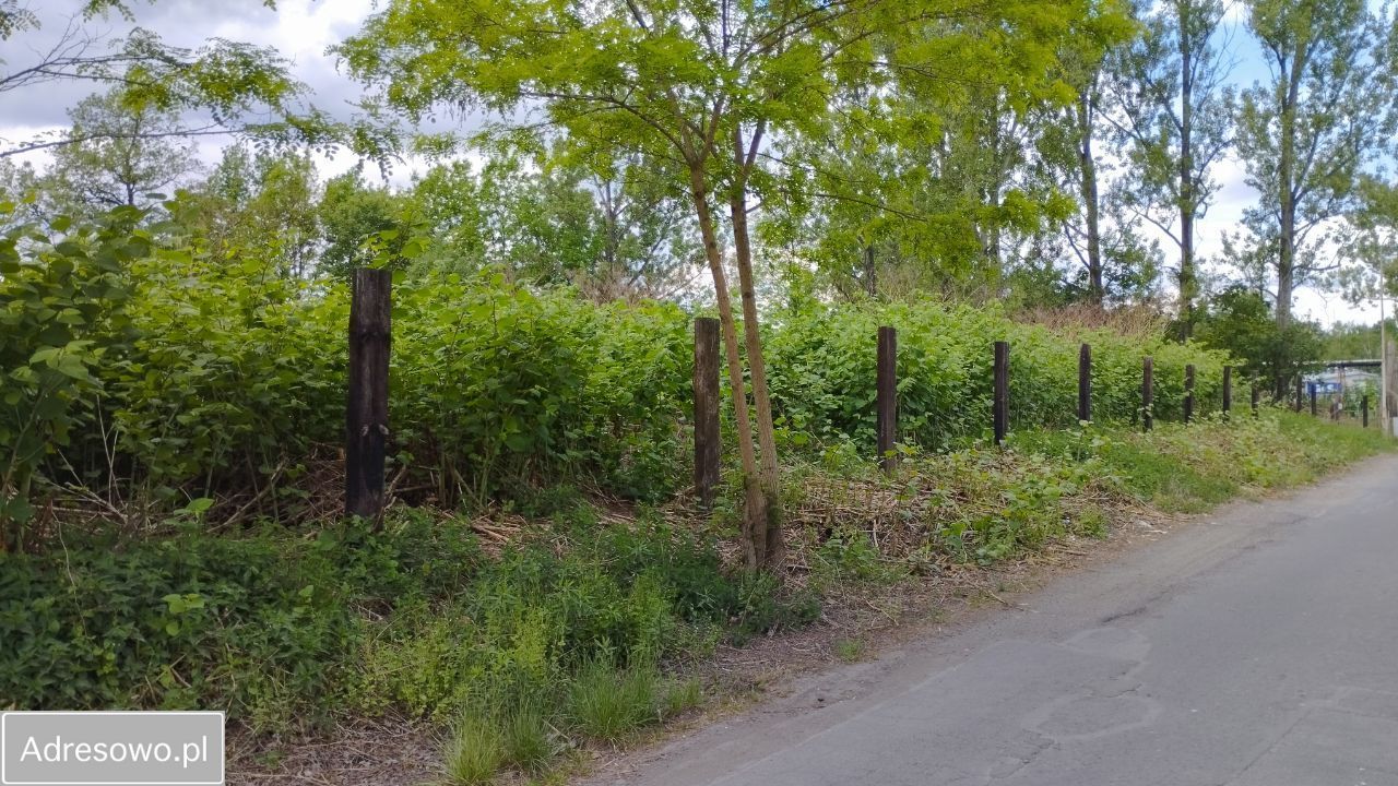 Działka budowlana Jelenia Góra Cieplice Śląskie-Zdrój. Zdjęcie 3