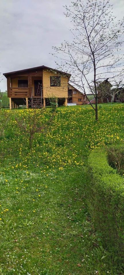 siedlisko, 7 pokoi Turzańsk. Zdjęcie 8