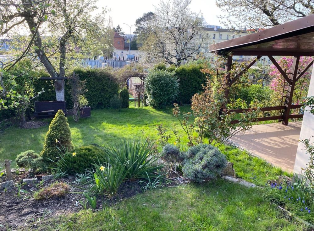 Działka rod Szczecin Niebuszewo, ul. Przyjaciół Żołnierza. Zdjęcie 3