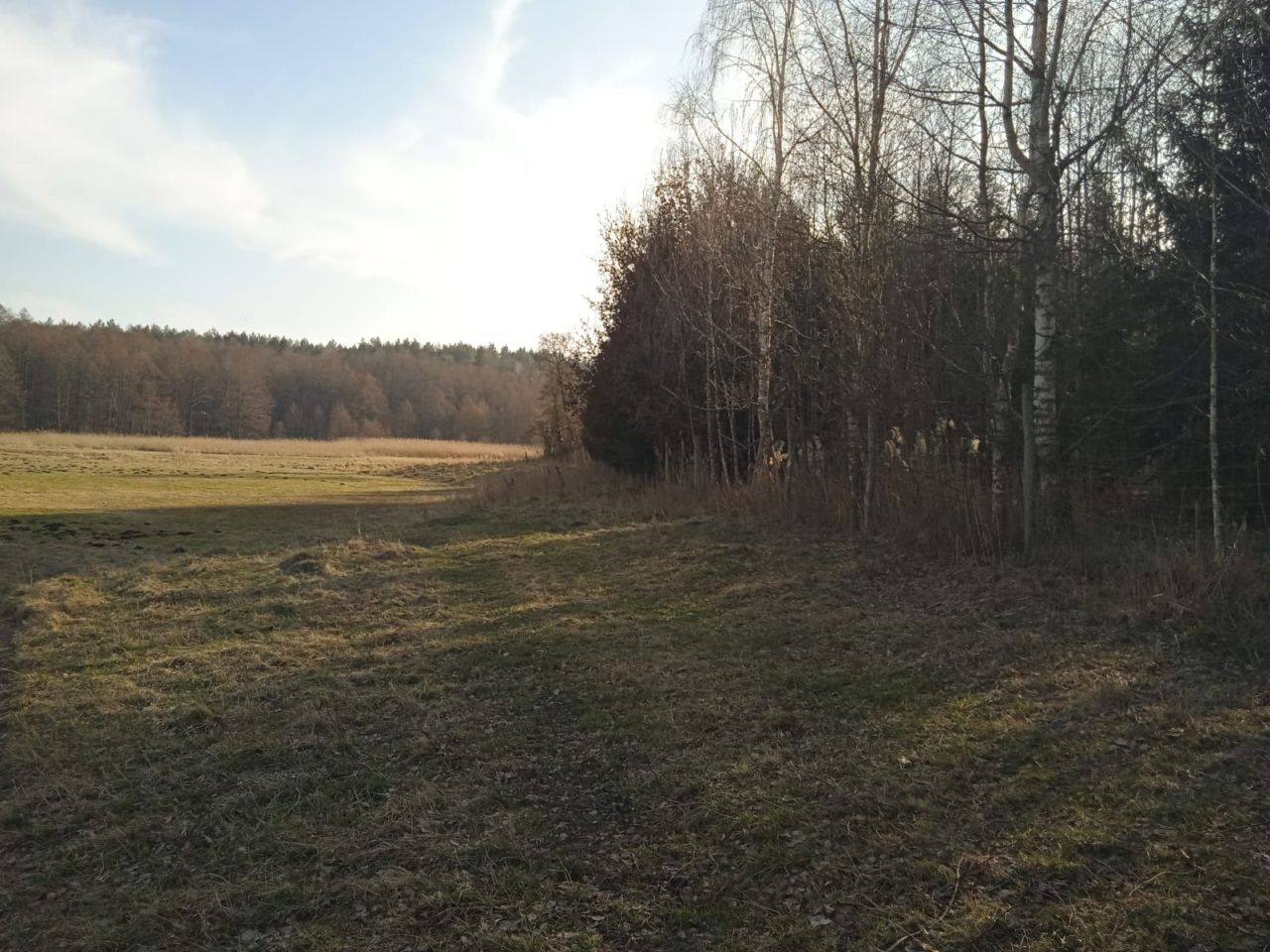 Działka rolna Bobrownik. Zdjęcie 4