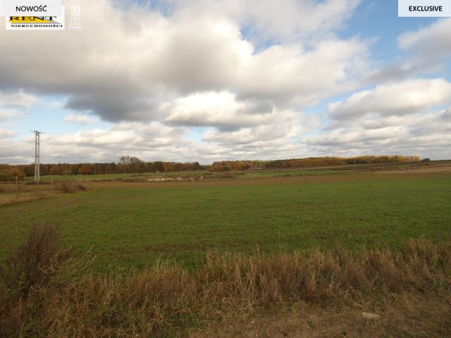 Działka budowlana Budno. Zdjęcie 4
