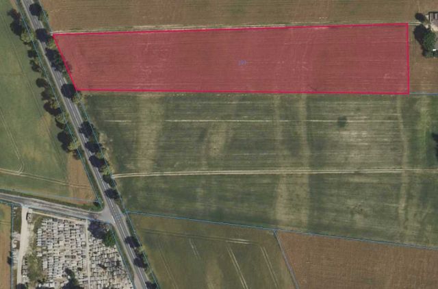 Działka rolna Kuchary-Jeżewo. Zdjęcie 1