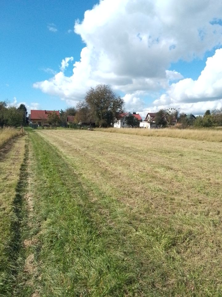 Działka budowlana Łańcut Podzwierzyniec, ul. Podzwierzyniec. Zdjęcie 5