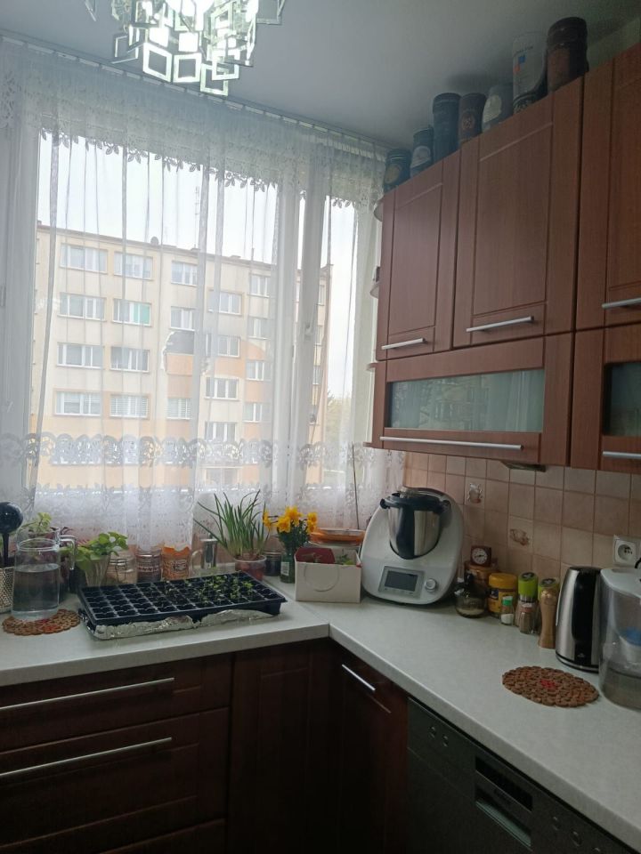 Mieszkanie 2-pokojowe Ząbkowice Śląskie, ul. Jasna. Zdjęcie 3