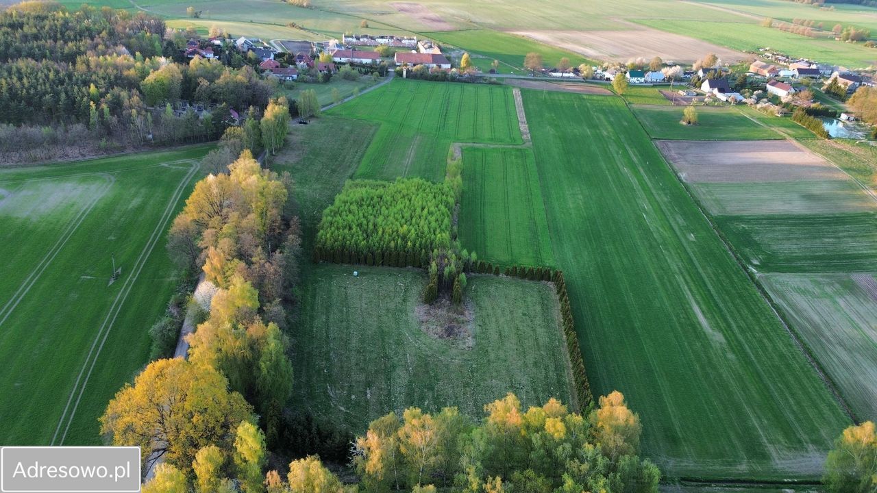 Działka budowlana Czernikowice. Zdjęcie 12