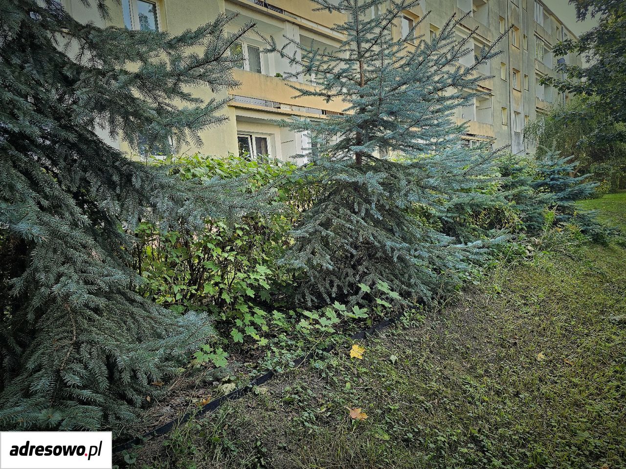 Mieszkanie 2-pokojowe Łódź Bałuty, ul. Antoniego Mackiewicza. Zdjęcie 12