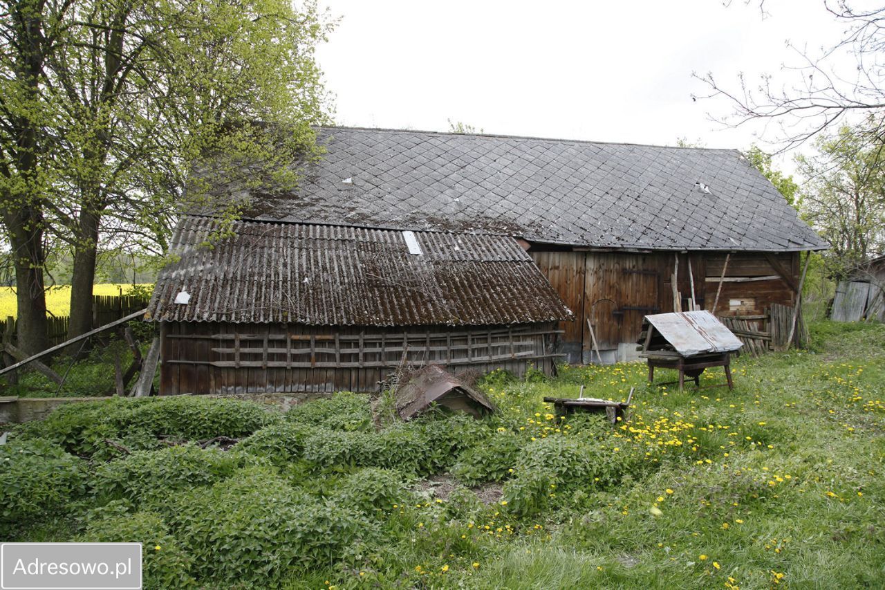 siedlisko, 3 pokoje Żmijowiska. Zdjęcie 18