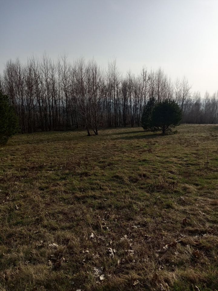 Działka budowlana Żurowa Nowy Świat. Zdjęcie 4