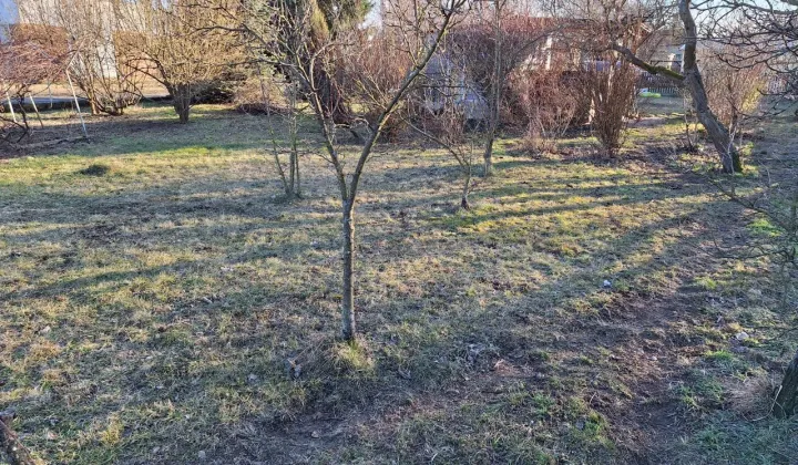 Działka budowlana Małomice, ul. Kościelna