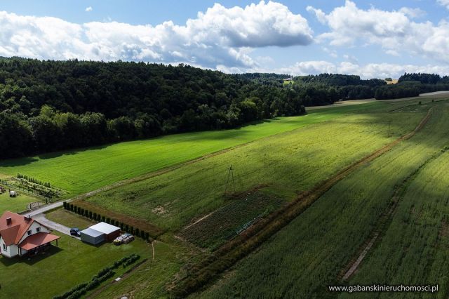 Działka budowlana Olszyny. Zdjęcie 1