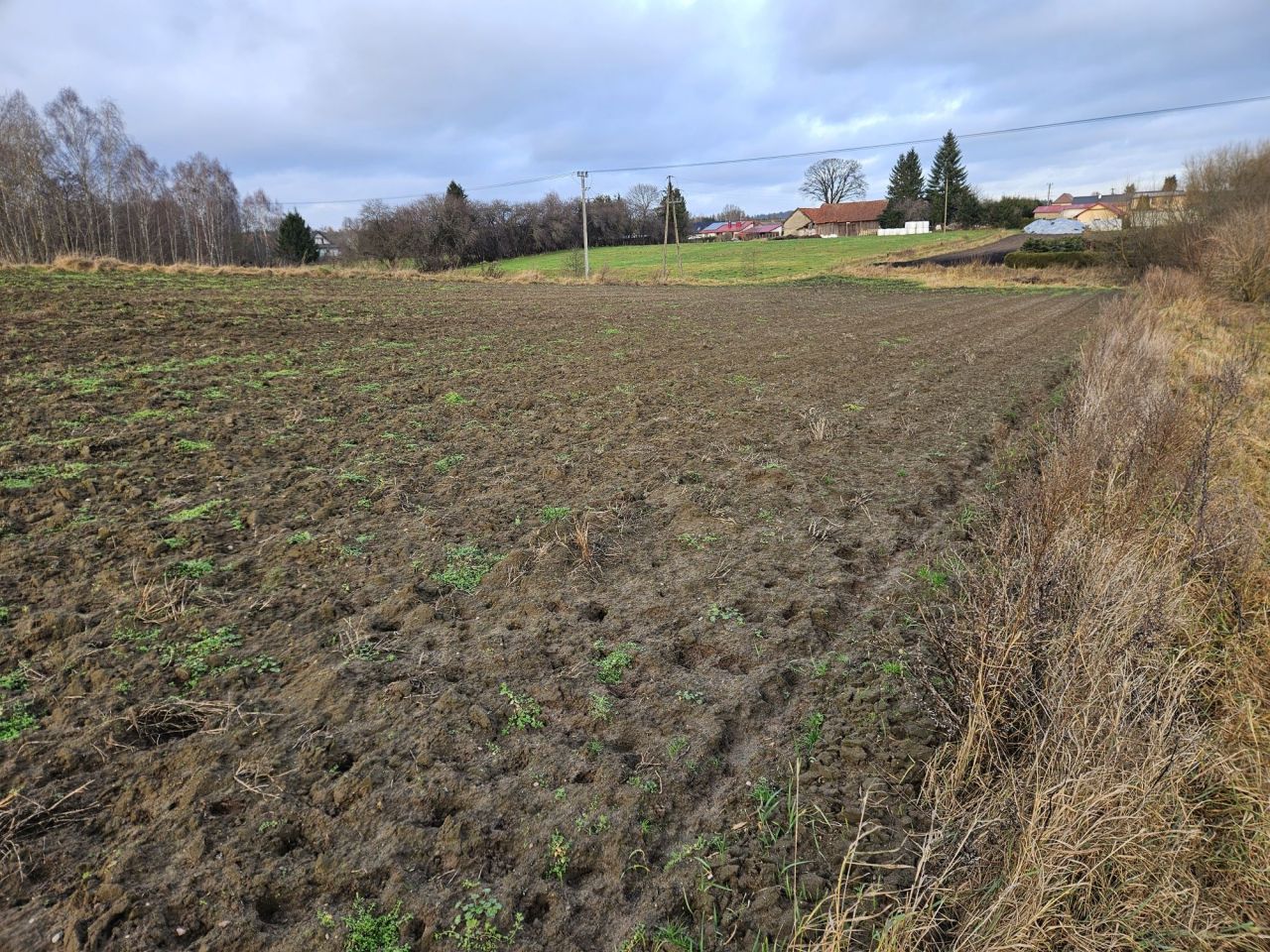Działka budowlana Zwierzewo. Zdjęcie 6