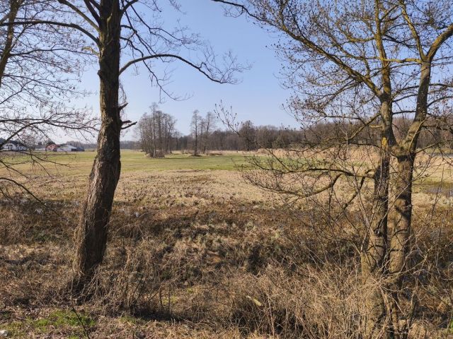 Działka rolna Józefina. Zdjęcie 1